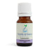 Lavender Essential Oil