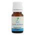 Peppermint Essential Oil
