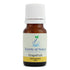 Grapefruit Essential Oil